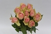 BELLE ROSE